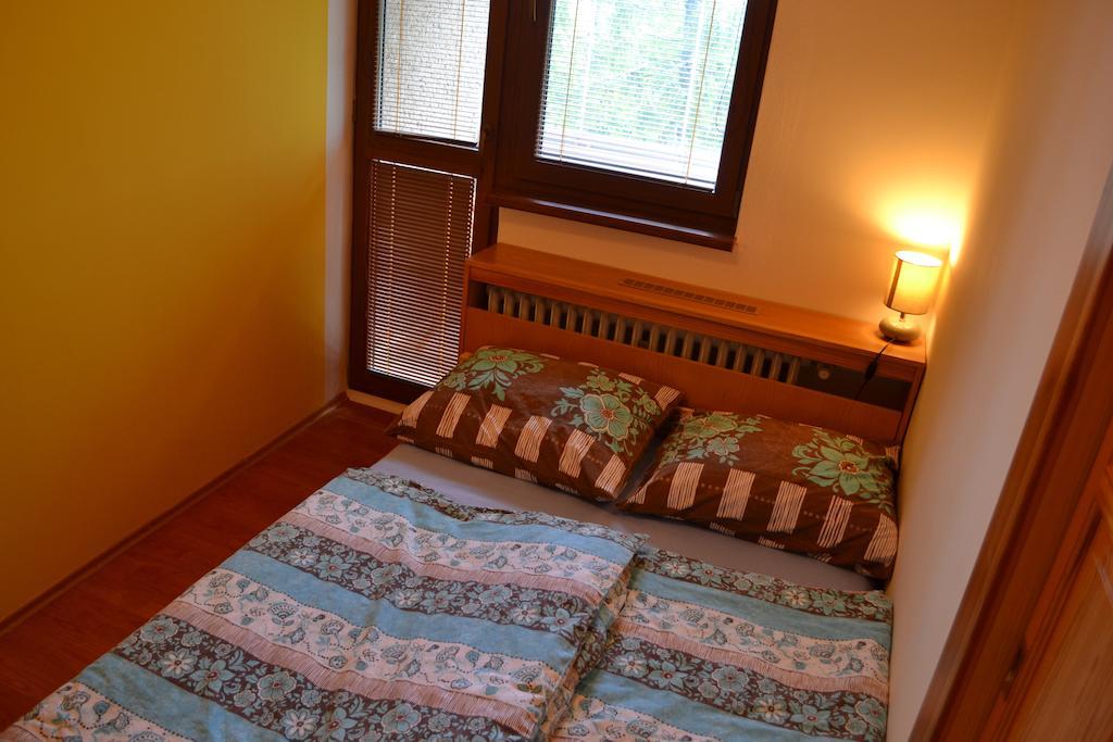 Apartman V Tatranskej Lomnici, Dinda 127 Tatranská Lomnica Buitenkant foto